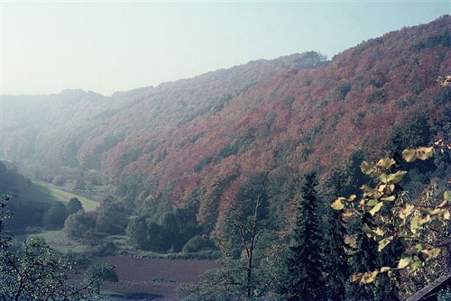 (Foto von Annette Metz)