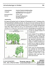 Kurzportrait Projekt 'Grundsatz-UVP 'Laermschutzanlagen an Straen' als pdf-Dokument; bitte Anklicken (74 KB)